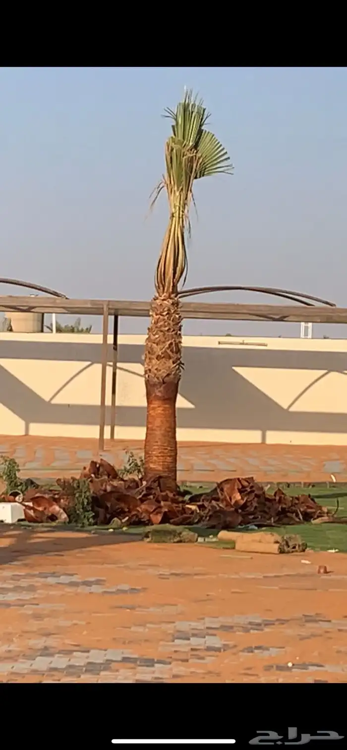 تكريب واشنطن 1