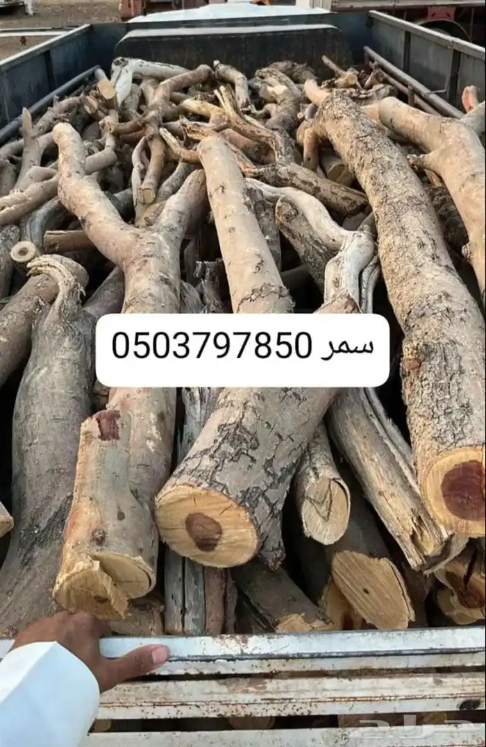 حطب أفريقي سمر 0