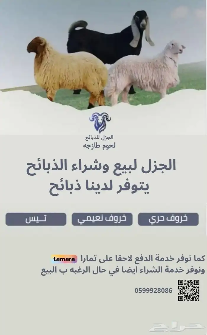 ذبايح بريه على تمارا او كاش 0