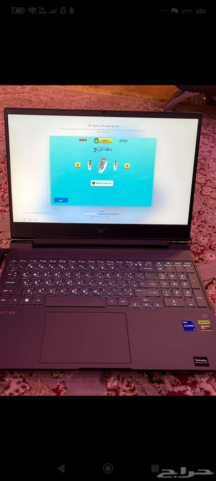 القطيف .. 7