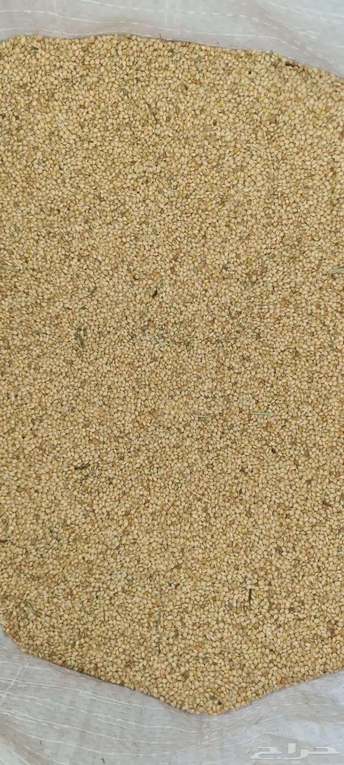 للبيع مليسا 2