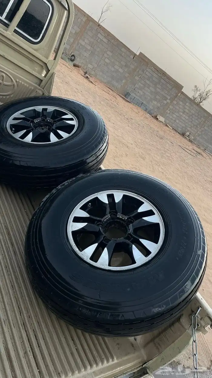 جنوط شاص 1