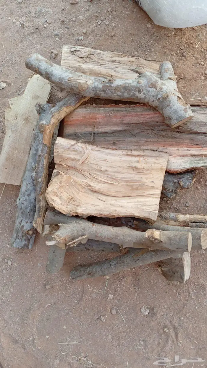 حطب الزيتون 0