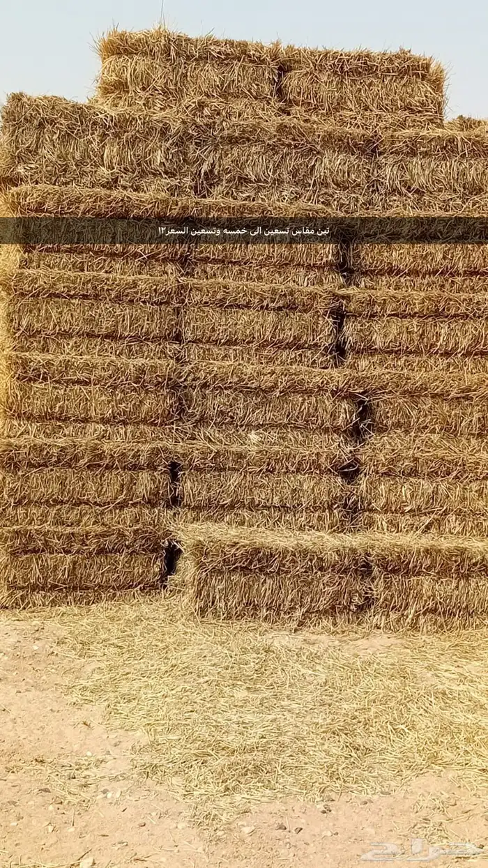 السوريه 1