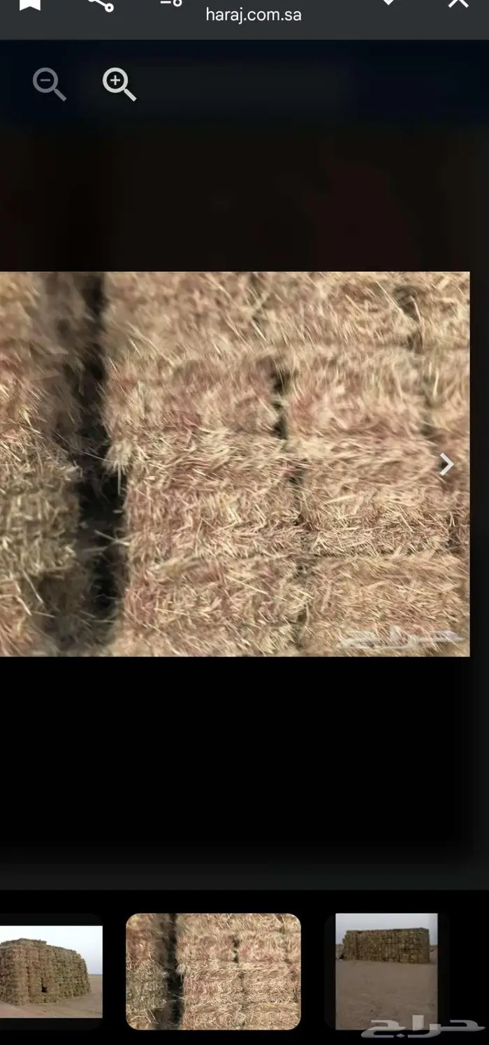 اعلاف. ذره جيزاني ورق ناعم جدا. 1