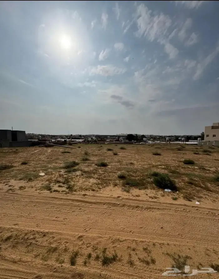 للبيع أرض في حي الحمر ( العوالي ) بيريدة 0