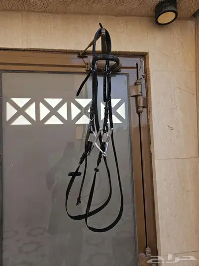 عدة ركوب خيل مستخدم index