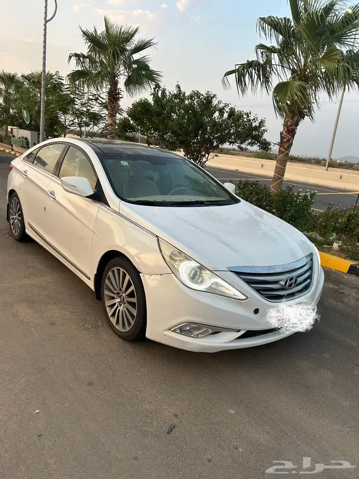 سوناتا 2013 3