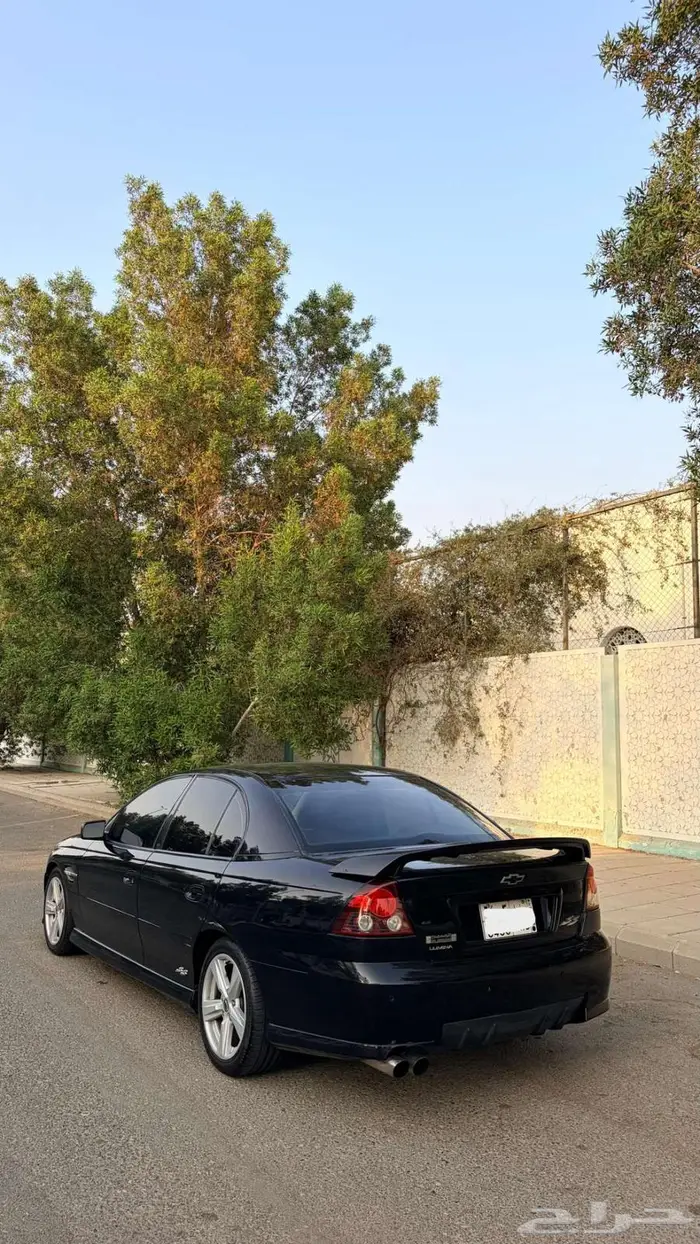 لومينا ss 2006 6