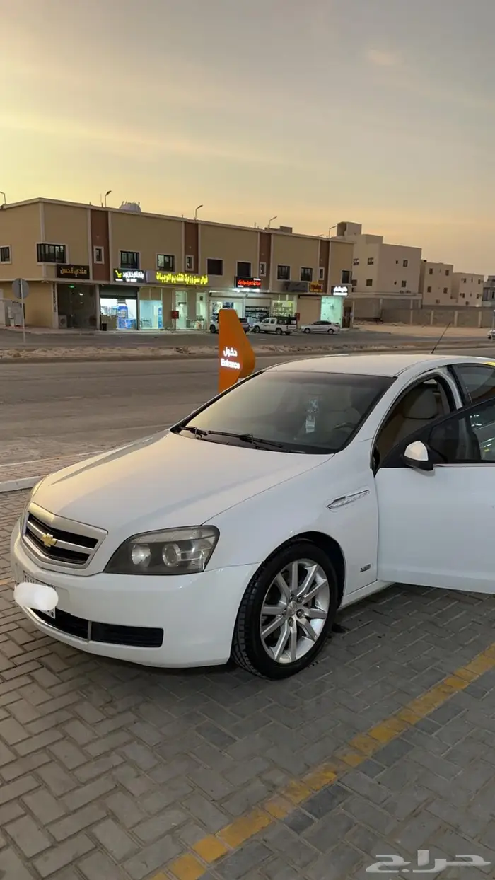 كابرس 2014 بدي بلد 0