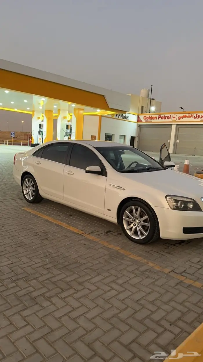 كابرس 2014 بدي بلد 1