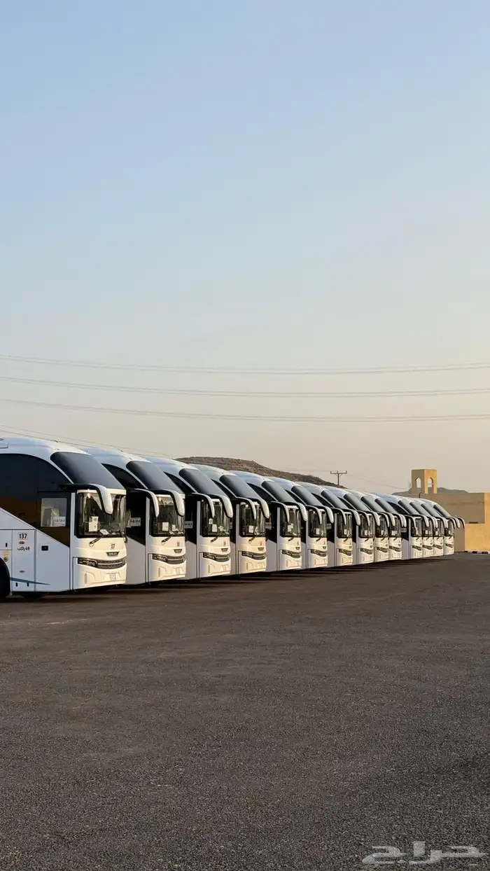 باصات للايجار باص 50 راكب و 30 راكب 1