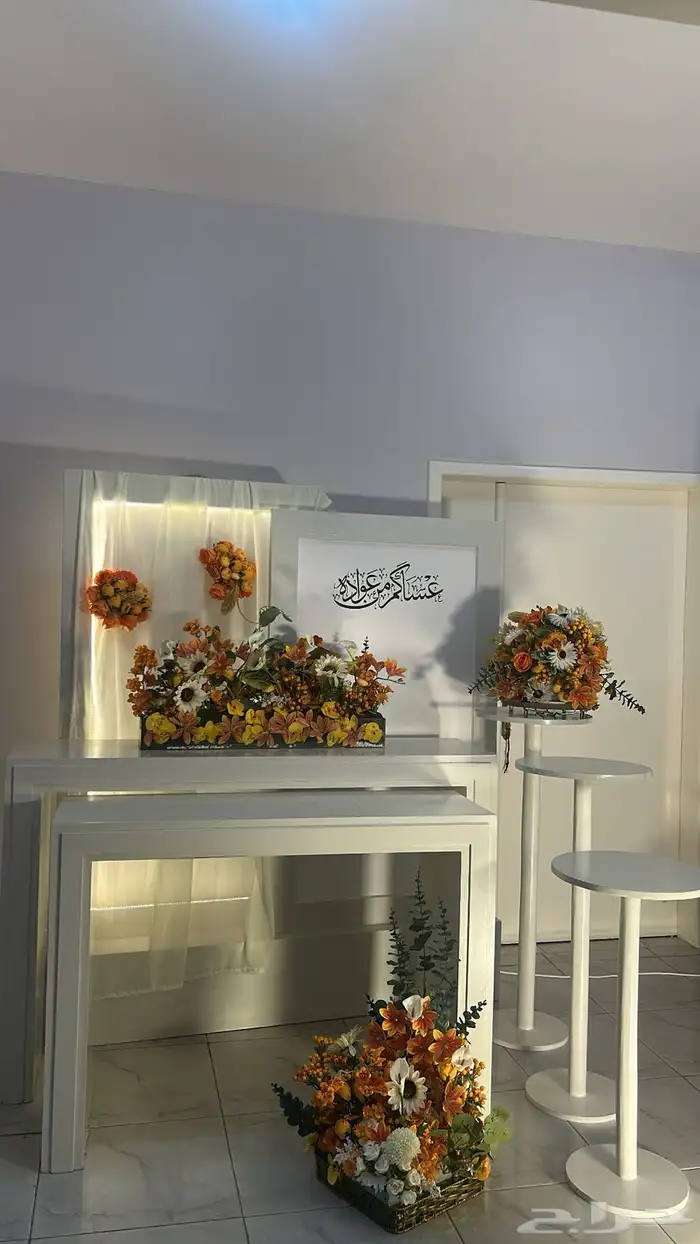 استقبال وشاشة عرض 5