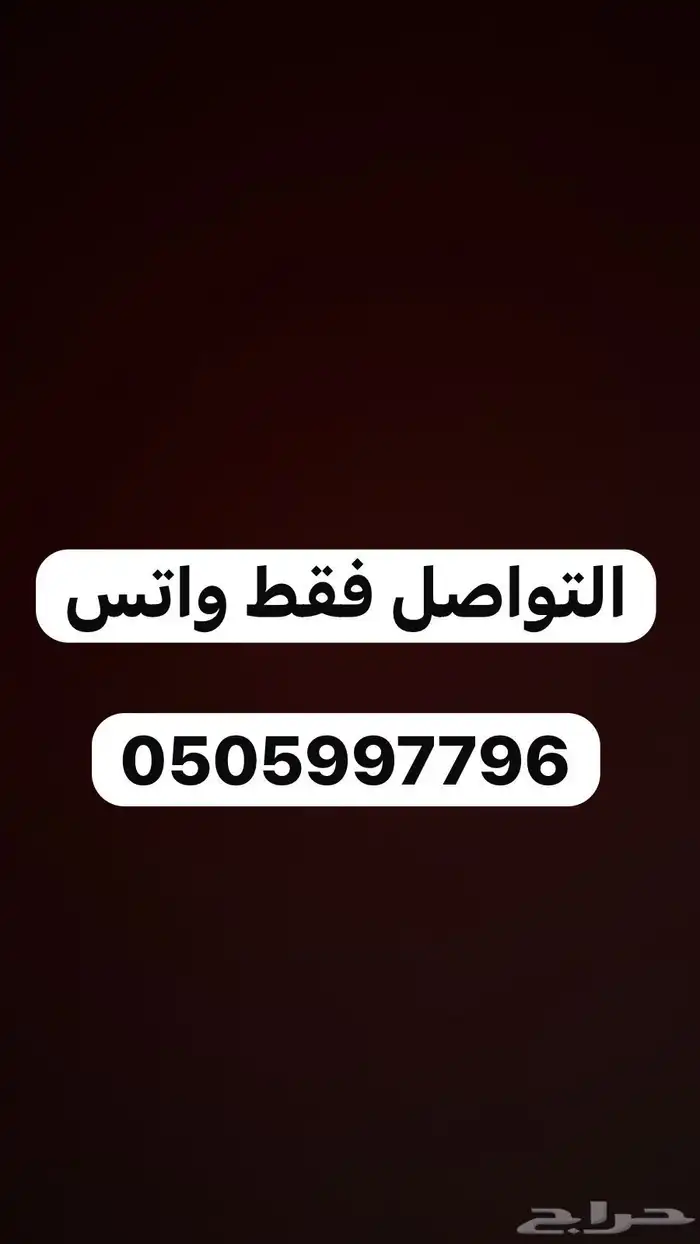 شقه عزاب للإيجار الشهري بحي بنبان 7