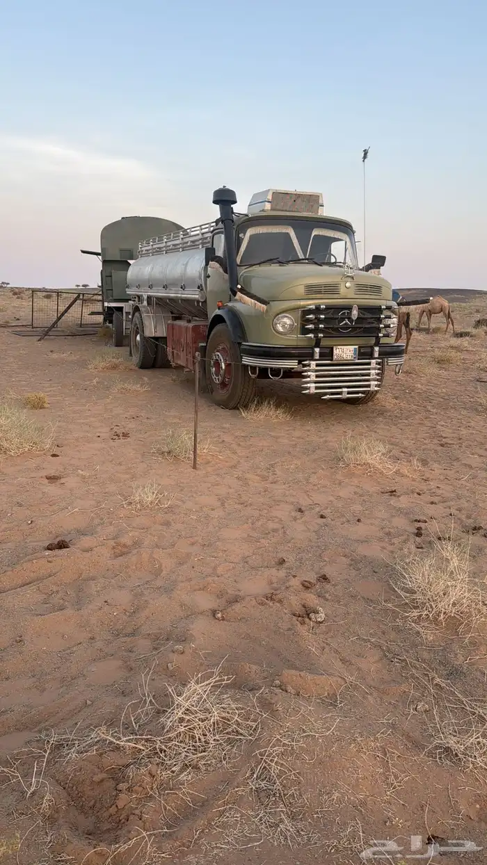 عايدي 24 4