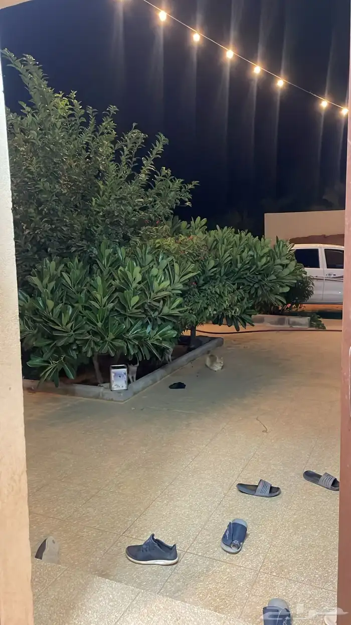 مزرعة للإيجار بأم الشيح 4