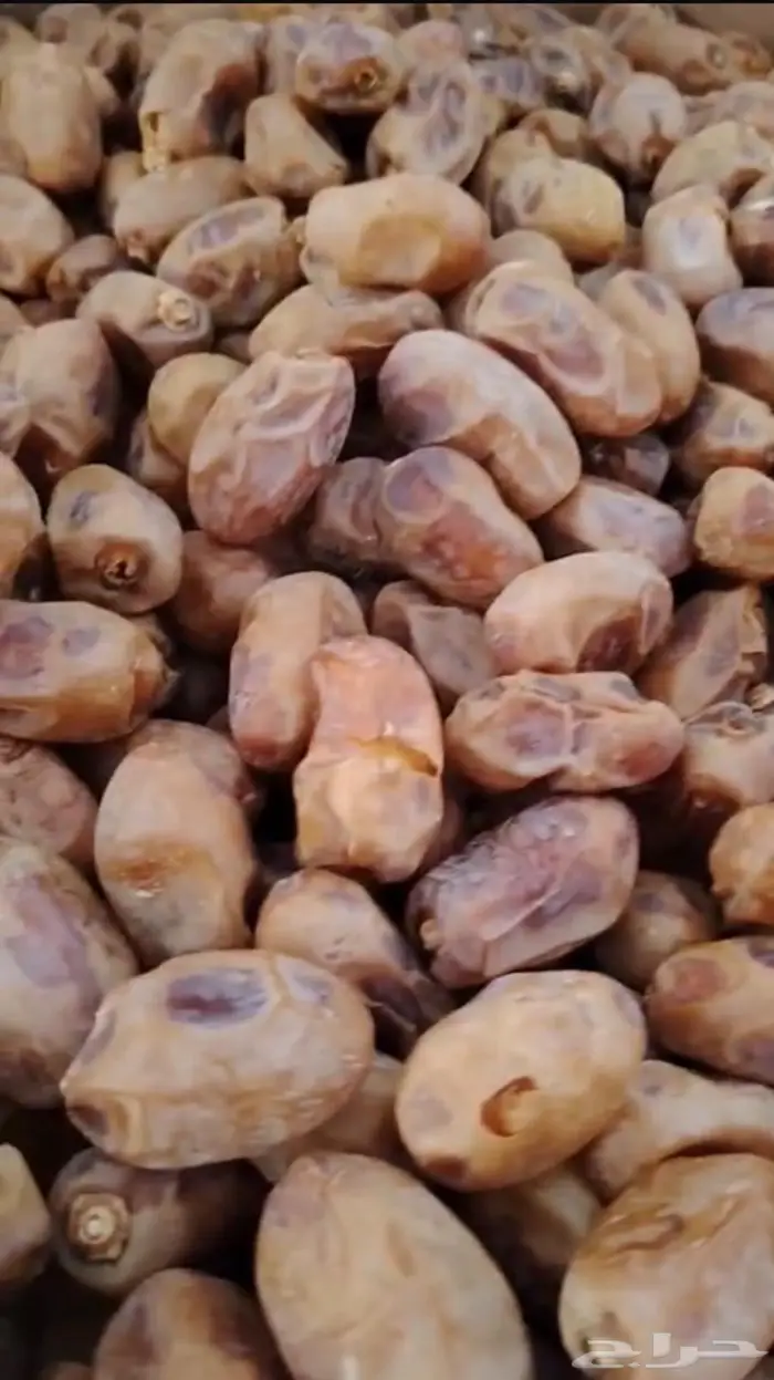 خلاص الزلفي حبه كبيره طيب ونظيف 2