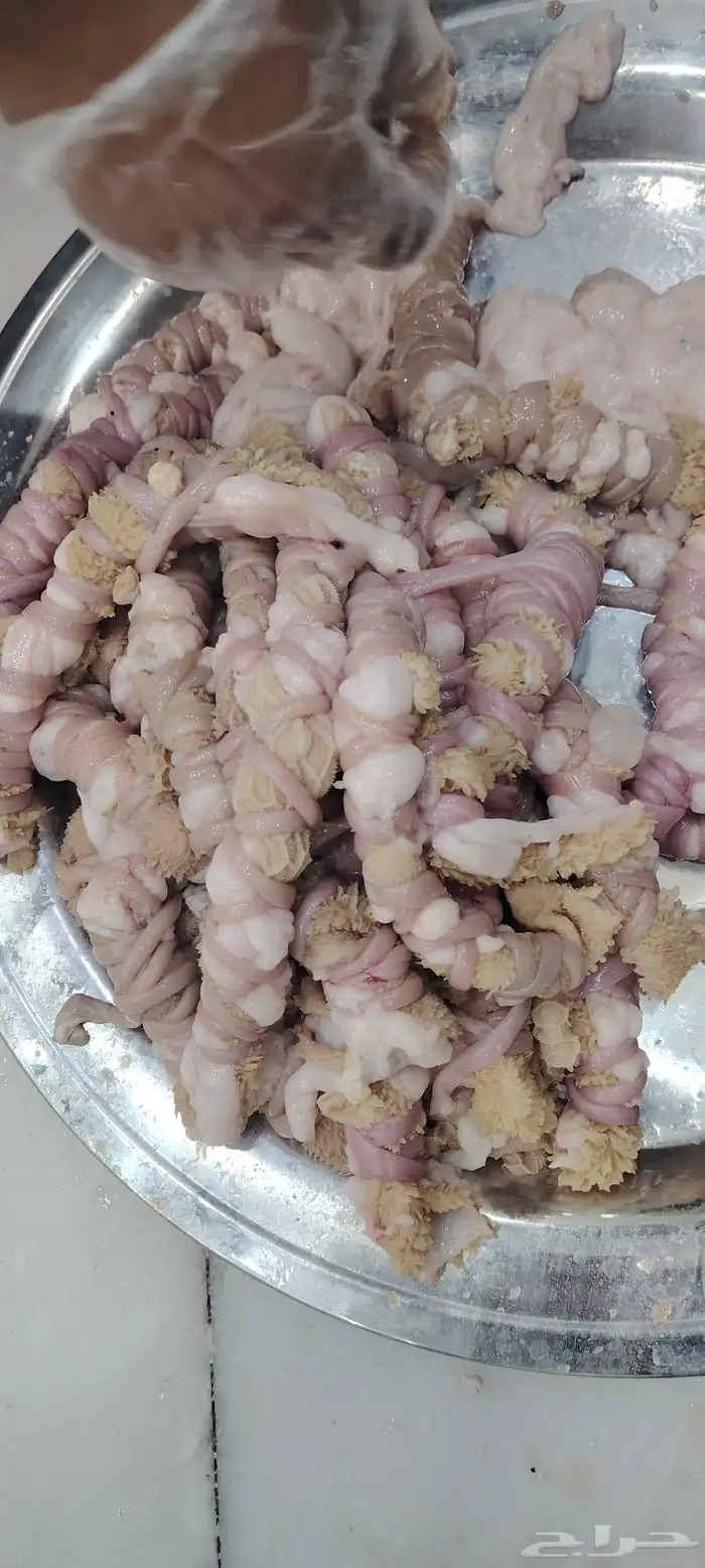 كبده مصران مقاضي كرشه 0