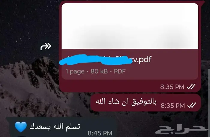 سيرة ذاتية (CV) متوافقة مع أنظمة التوظيف (ATS) بسعر رمزي 5