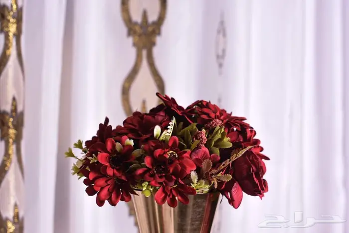 تصوير فوتوغرافي بأسعار رمزية- الشرقية 1