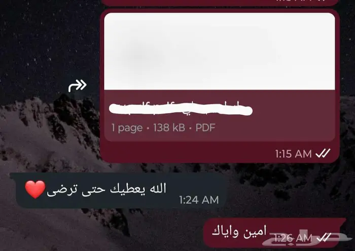 سيرة ذاتية (CV) متوافقة مع أنظمة التوظيف (ATS) بسعر رمزي 2