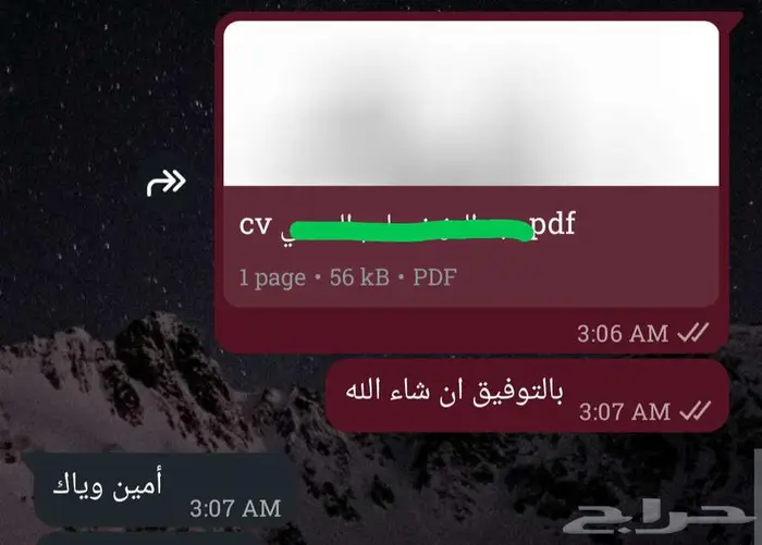 سيرة ذاتية (CV) متوافقة مع أنظمة التوظيف (ATS) بسعر رمزي 3