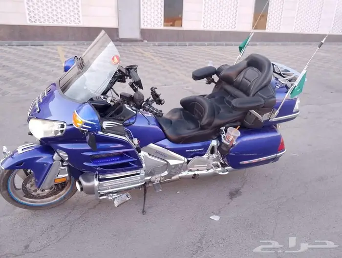 قولد وينق نظيف للبيع 2