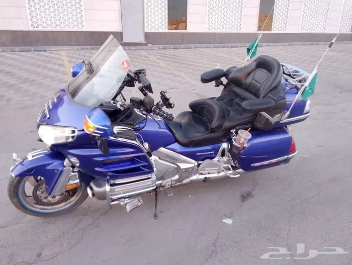 قولد وينق نظيف للبيع 1