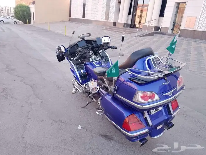 قولد وينق نظيف للبيع 5