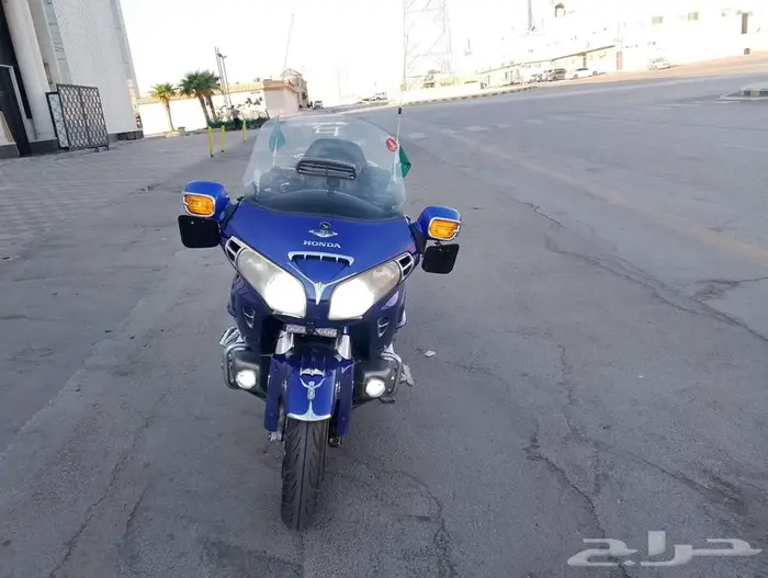 قولد وينق نظيف للبيع 8