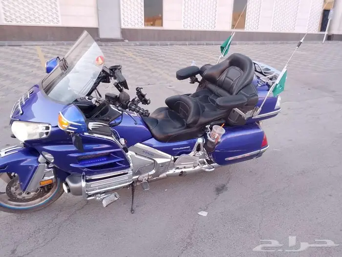 قولد وينق نظيف للبيع 11