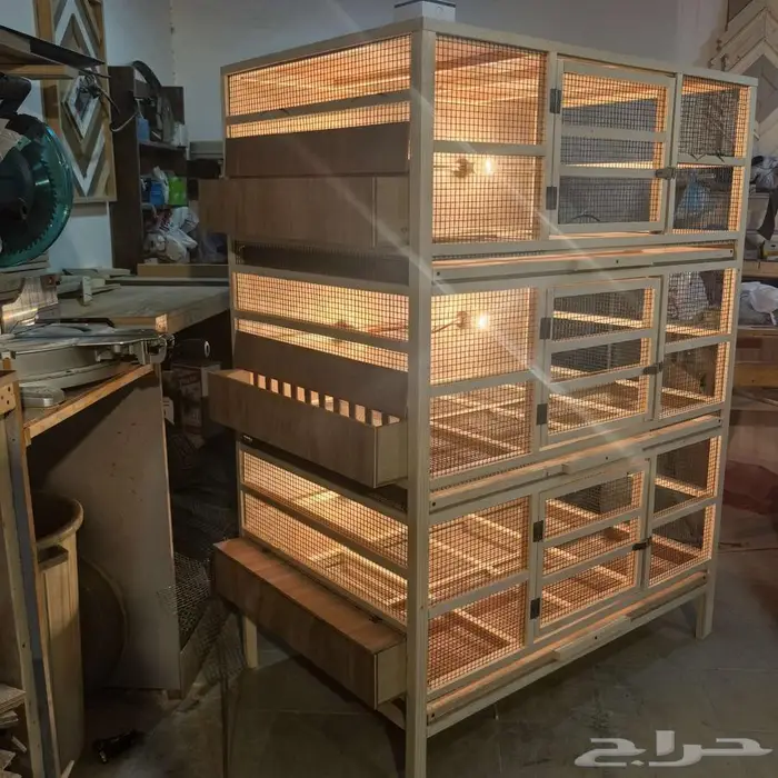 حضانة صوص إنتاج دواجن 12