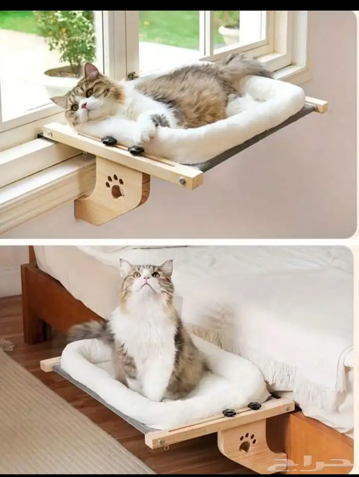 مستلزمات قطط 2