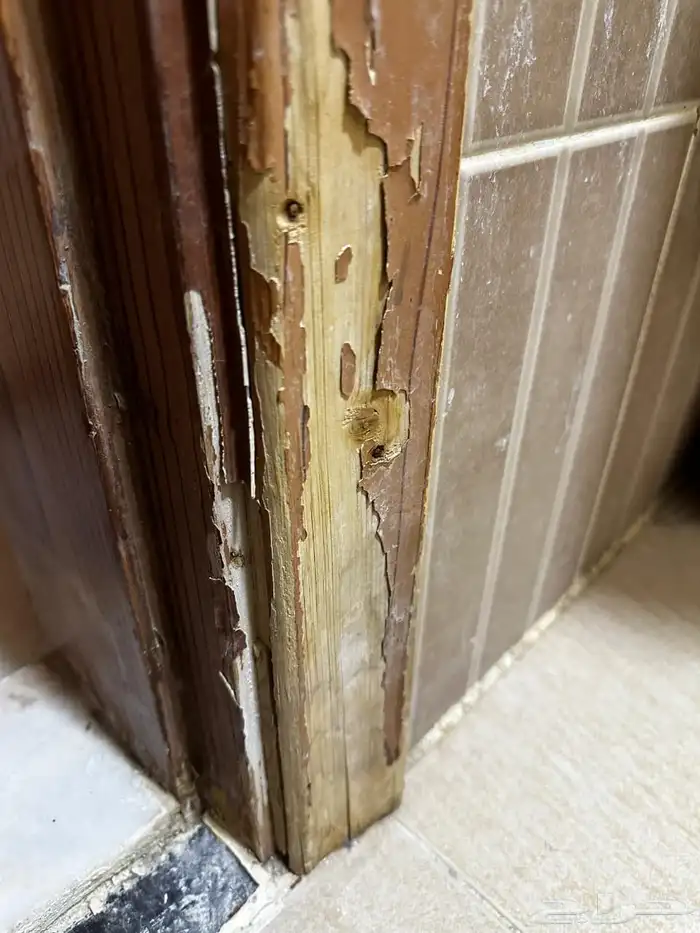 ترميم ابواب خشب 3