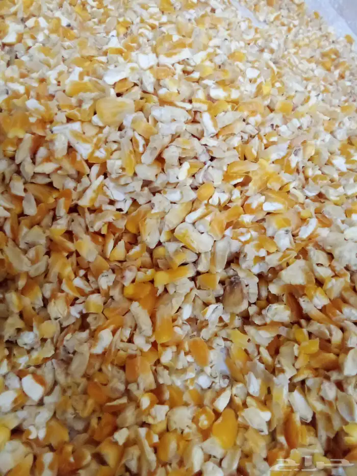 ذره صفراء مجروش 7