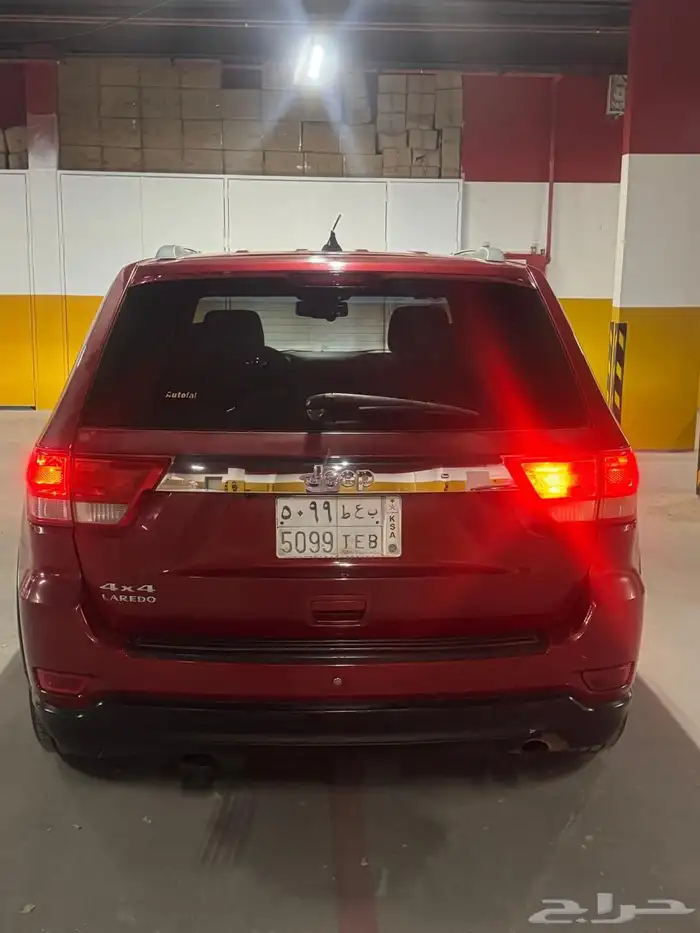 جراد شروكي 8