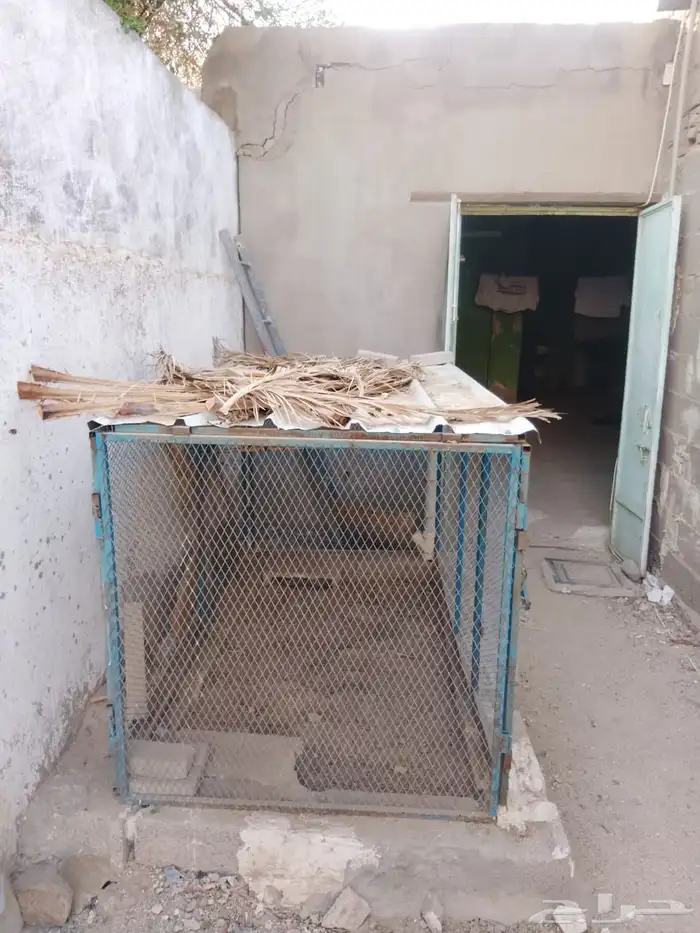 شبك دجاج مستعمل بحالة جيدة 2