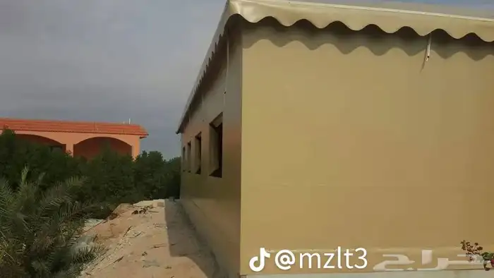 الاحساء 60