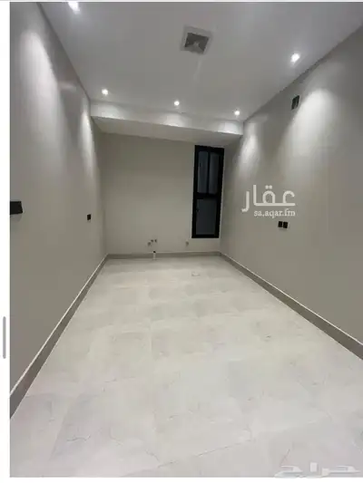 العارض index