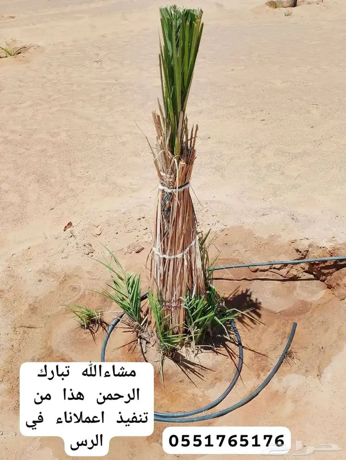 الحفر البطان 4