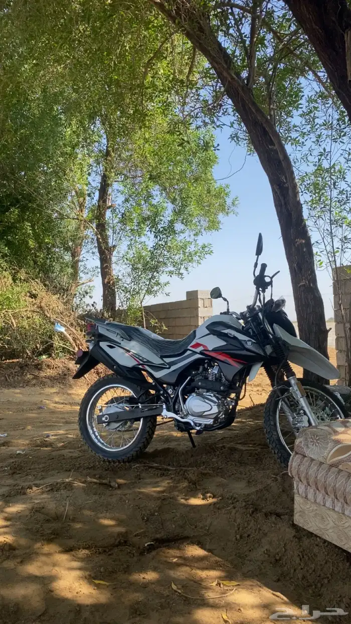 دباب هاوجو 0