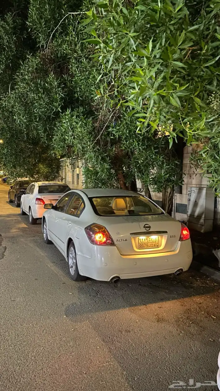 التيما 2009 5