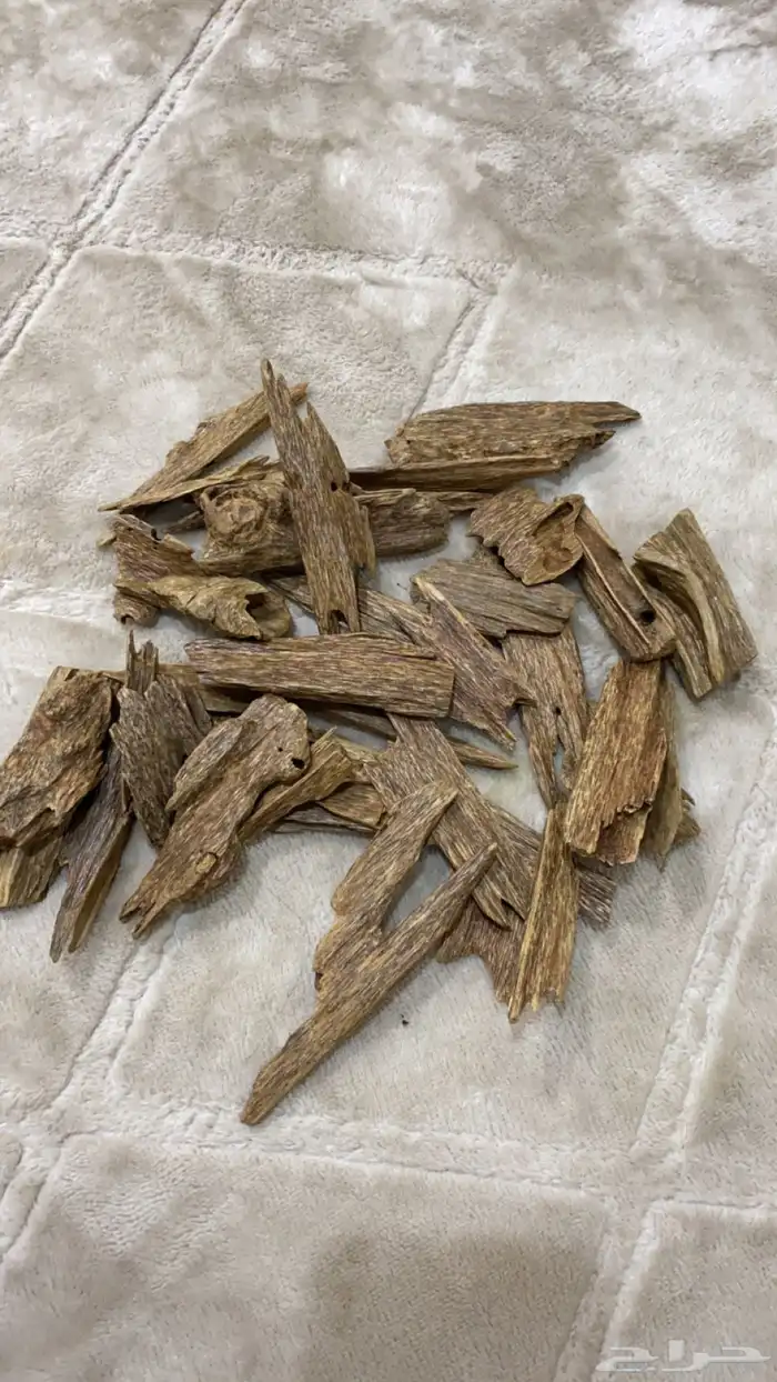 عود طبيعي 0