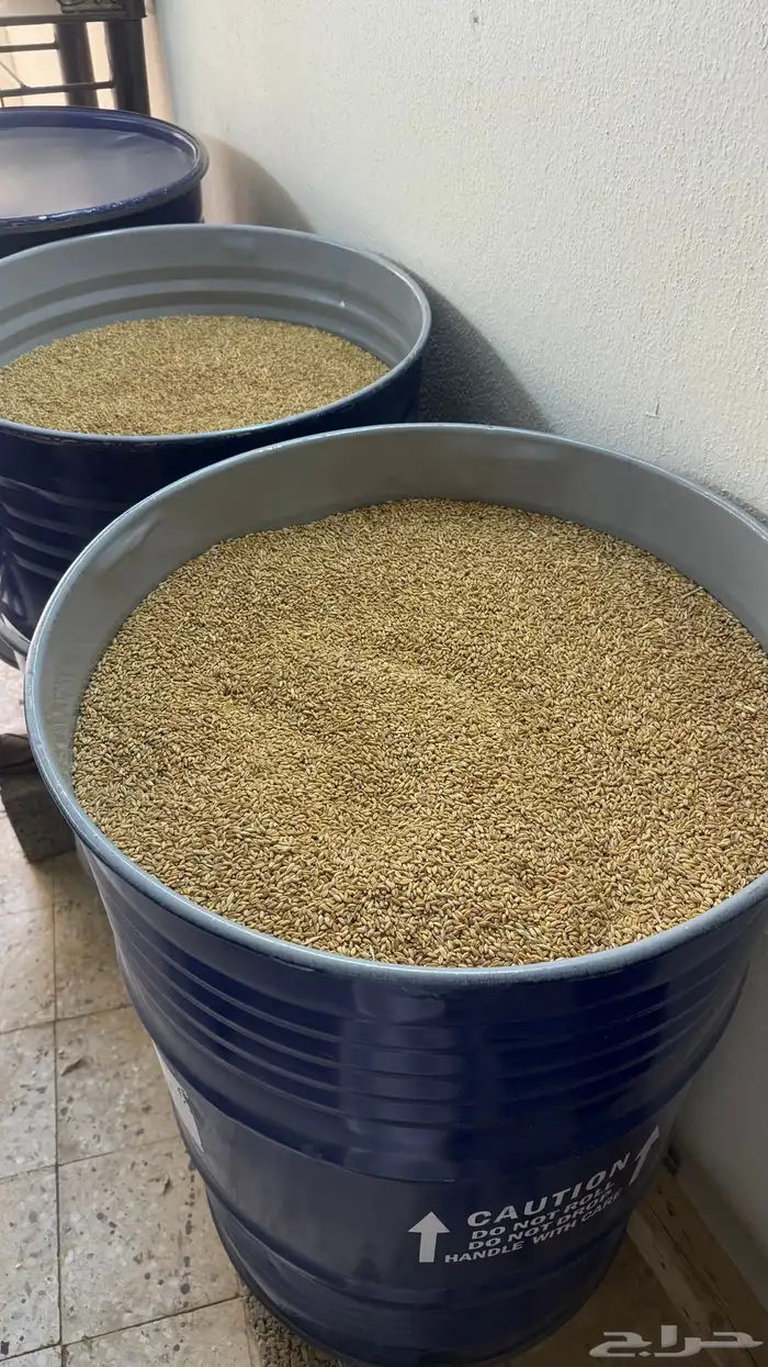 حب بر   صيب 0