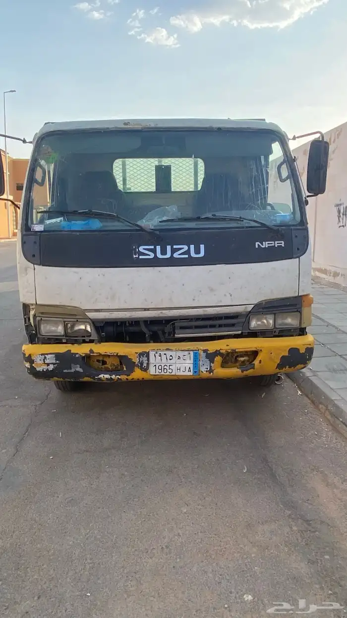 دينا ايسوزو 0