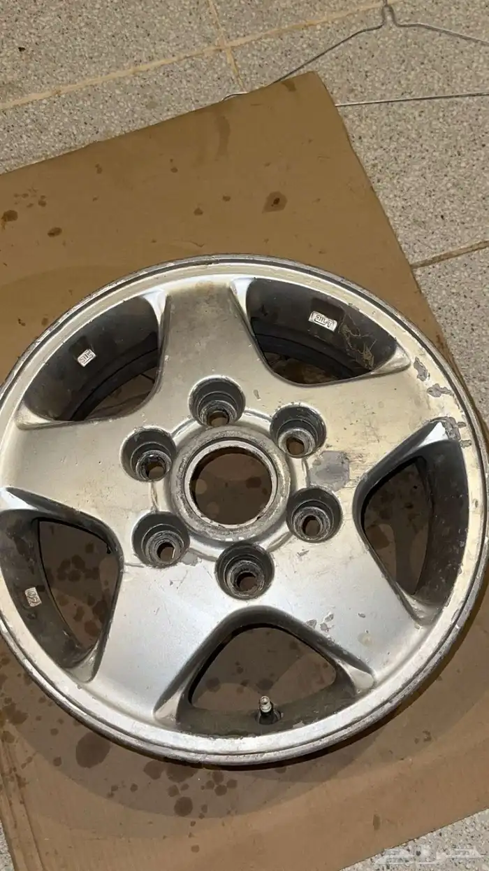 جنوط نجمه ددسن 0