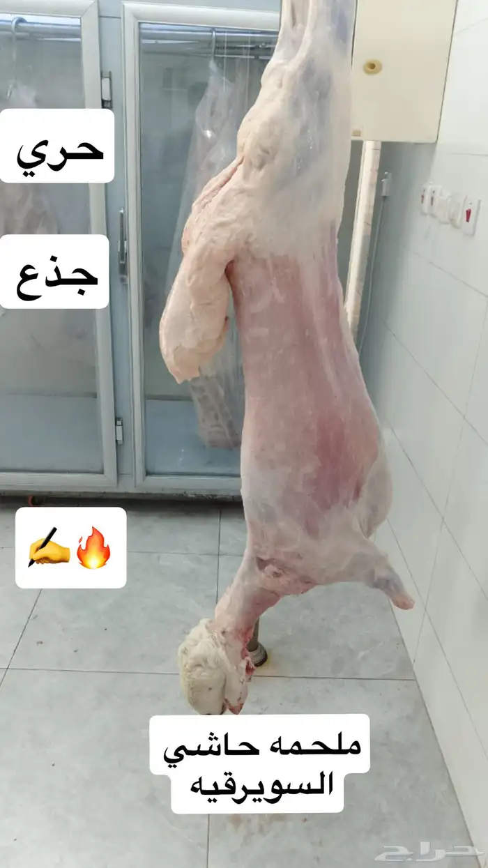 ملحمه حاشي السويرقيه جده حي الفروسيه 9