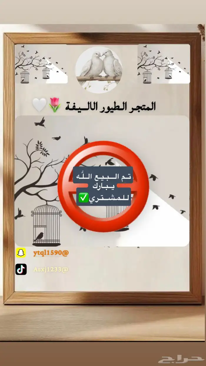 عرض كويكر البينو متكلم عنده 10 كلمات هدد نشبه تم البيع 0