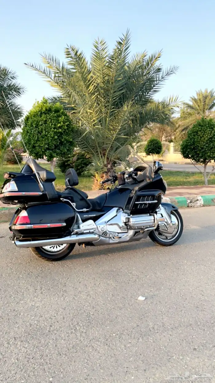 قولد وينق لفل 2 شاشه كبيره 1