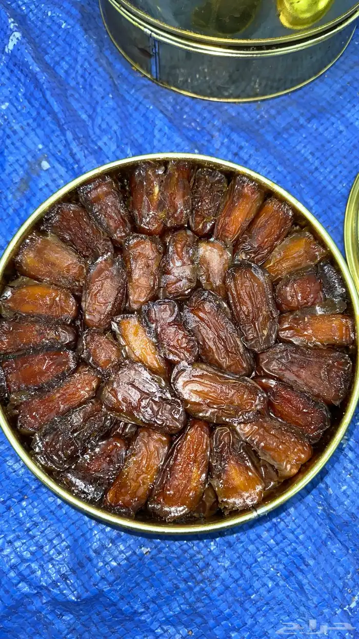 تمر صفري فاخر للبيع 2